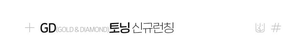GD토닝