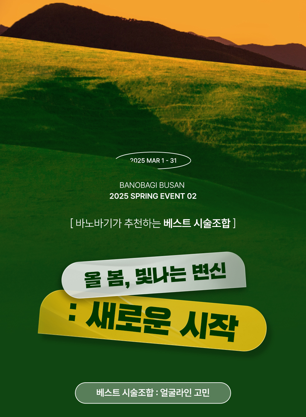 베스트 시술 조합